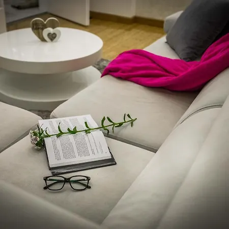 Daire Simic - Stan Na Dan