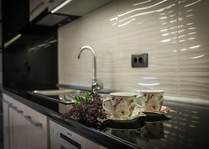 公寓 Simic - Stan Na Dan *